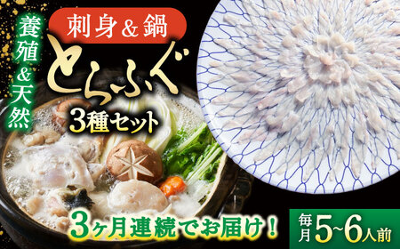 【2027年2月-初回発送】【3回定期便】南島原ふぐ三昧コース 5-6人前 / ふぐ フグ 河豚 トラフグ ふぐ刺し / 南島原市 / 大和庵 [SCJ032]