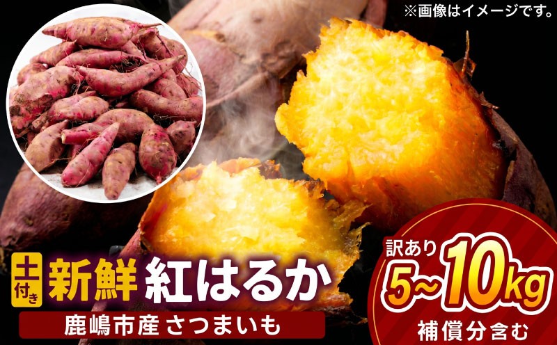 
                  訳あり さつまいも 紅はるか 約5~10kg 数量限定 土付き 【先行予約】 べにはるか 野菜 甘い 焼きいも スイートポテト  生芋 サツマイモ スイーツ おやつ 焼き芋 焼芋 天ぷら 大学芋 ほしいものおにざわ 茨城県 鹿嶋市 【2026年10月以降発送】
                