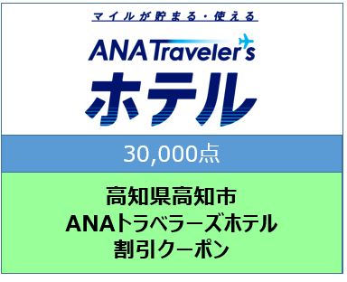 高知県高知市 ANAトラベラーズホテル割引クーポン（30,000点）