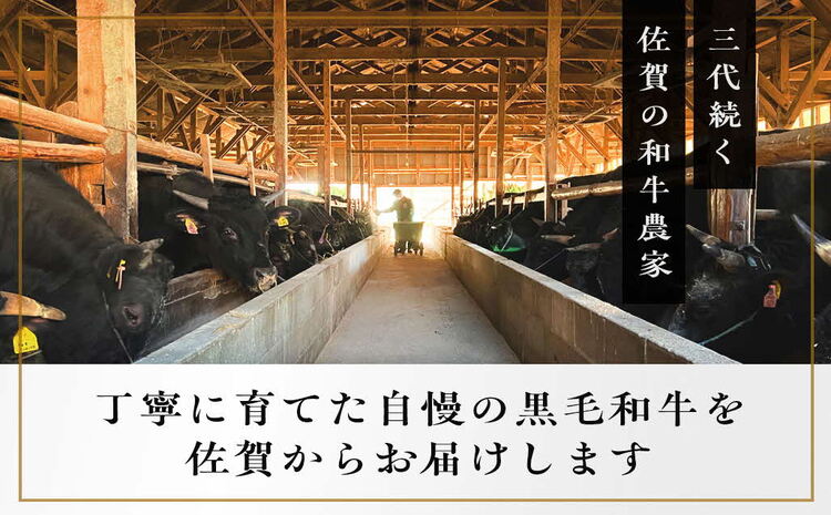 《佐賀牛》「梁井」霜降りロースステーキ 3枚 600g【佐賀牛 霜降り肉 ロース肉 サシ ステーキ 肉汁 とろける やわらか 美味しい ブランド肉】 C-J081011