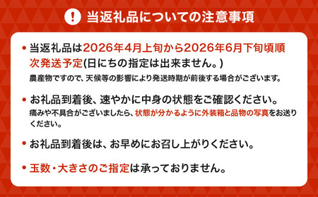  訳あり 不知火 恋する不知火 約10kg 【2026年4月上旬から2026年6月下旬発送予定】 御舩果樹園 