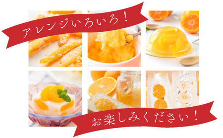 【先行予約】みかんの「大トロ」佐賀産かんきつ・せとか 約3kg(7-12玉) / ふるさと納税 佐賀 フルーツ濃厚 甘い 酸味 大町 贈答 ギフト 贈り物