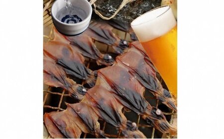 越中氷見屋　ホタルイカ 魚醤干し 18尾入り × 11袋 〈冷凍〉 ホタルイカ