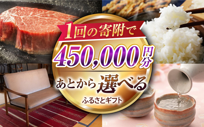 
            【あとから選べる】江北町ふるさとギフト 寄附金額 45万円分【佐賀県江北町】 [HZZ011]
          