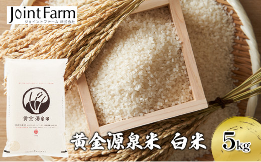 
                  黄金源泉米　白米 精米 お米 コシヒカリ こしひかり 新潟県産  [№5882-0126]
                