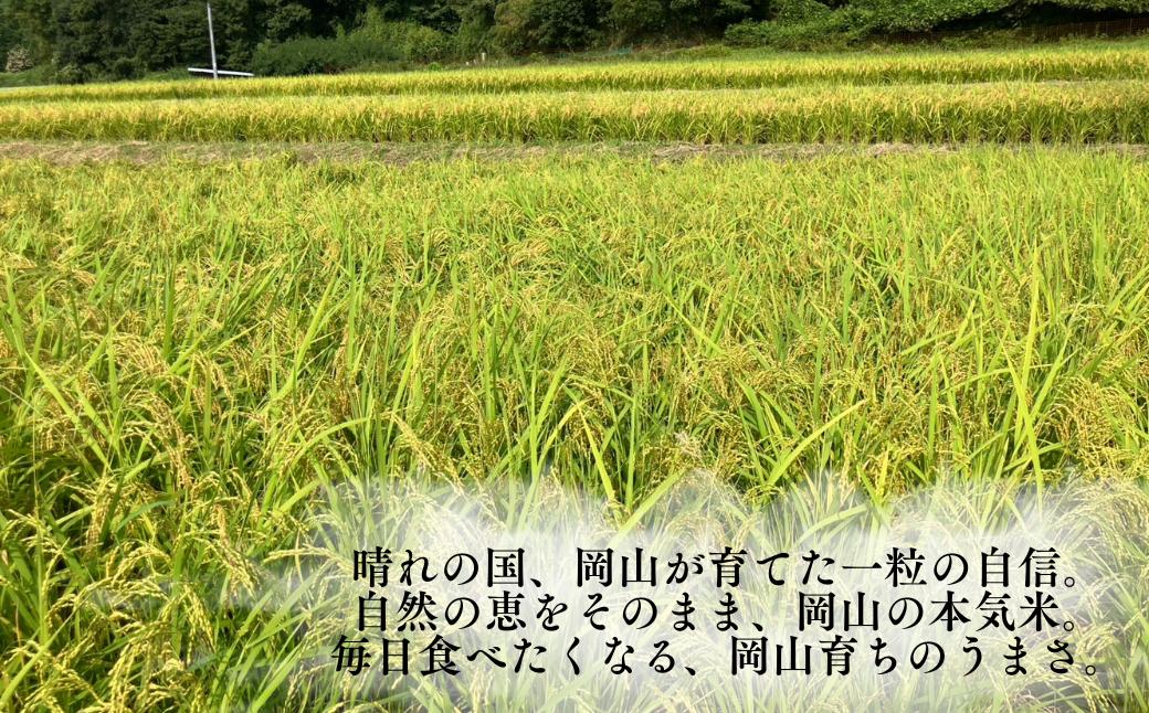 岡山県産米 10kg コシヒカリ あきたこまち にじのきらめき 選べる お米 玄米 国産米 ごはん 米 10キロ 産地直送