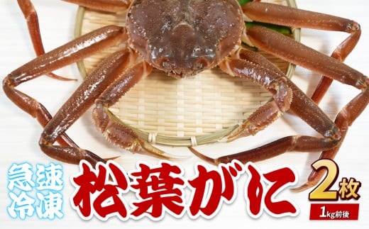 松葉がに（冷凍） 約500g 2枚｜鳥取 岩美 かに 松葉ガニ 冷凍 生 プロトン凍結 急速冷凍【22048】