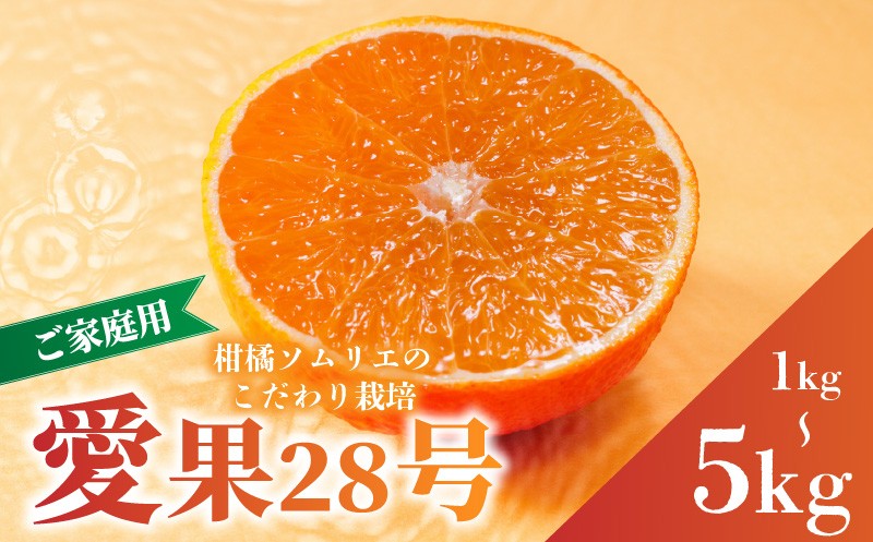 
                  【先行予約】愛果28号 (紅まどんな と同品種) ご家庭用 1kg / 2.5kg 5kg 【2026年11月下旬より順次発送】 | 訳あり 愛果 あいか みかん まどんな マドンナ ワケアリ 柑橘 みかん 果物  おすすめ 高級 人気 お取り寄せ グルメ ギフト 期間  ご当地 愛媛三大柑橘（ 紅まどんな せとか 甘平 ） 愛媛県 松山市  蓮果園 
                