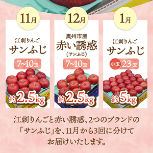 【定期便】 奥州市りんご3か月定期便 奥州市産「サンふじ」 11月～翌年1月お届け 奥州市 りんご 3か月定期便 奥州市産 「サンふじ」 11月 江刺 12月 赤い誘惑 1月 江刺 [AQ097]