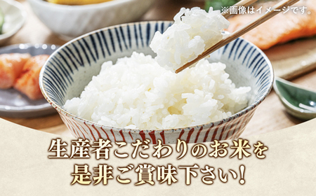 【令和7年産】無農薬・無化学肥料栽培 埼玉県幸手市産特別栽培コシヒカリ 「幸ヒカリ」精米5kg -  米 特別栽培米 幸手市産