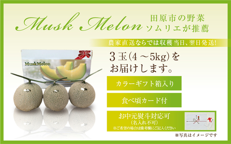 先行予約 数量限定 野菜ソムリエ推薦渥美半島伊良湖潮風育ちマスクメロン3玉(4～5キロ)カラーギフト箱入り　2024年６月下旬～８月上旬発送 田原市 伊良湖産 ギフト プレゼント お取り寄せ 渥美半島