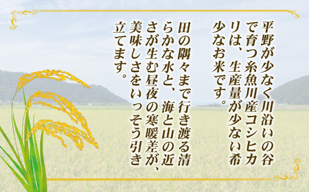 『ひすいの里』2kg《令和7年産》 【新潟県産コシヒカリ 豊かな自然が育んだ美味い米 新潟米 農家自慢 糸魚川 米どころ新潟 米作りのプロ JA こしひかり 美味しい米 おにぎり 精米 こしひかり2k