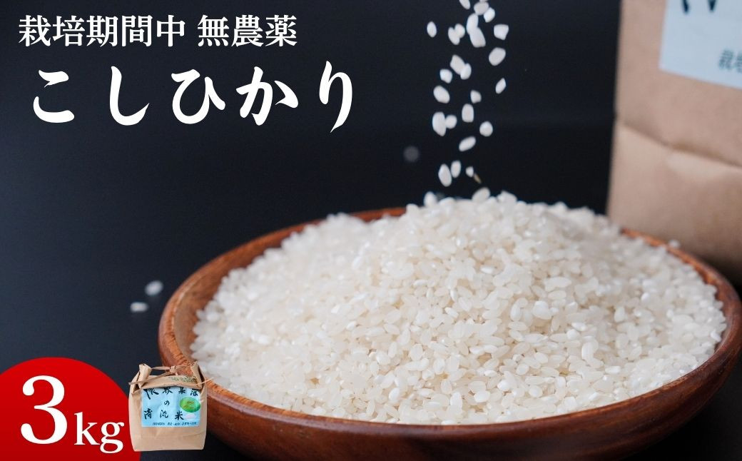 
                  農薬に頼らない栽培 コシヒカリ 3kg ｜ コシヒカリ 自然栽培 農薬に頼らない 栽培期間中 無農薬 寒暖差 限界集落 自然 耕作放棄地
                