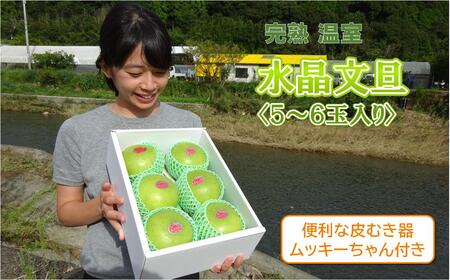 届いてすぐに食べられる 完熟 温室 水晶 文旦 5～6玉（ムッキーちゃん付き）［1404］