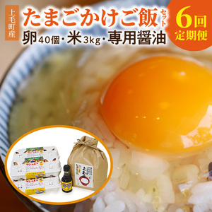 【定期便】上毛町産の「たまごかけご飯セット」（卵40個・米3㎏・専用醤油）6回（毎月）コース_06T-007