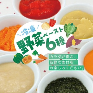 冷凍野菜ペーストアラカルト6種 ほうれん草 さつまいも 玉ねぎ パプリカ にんじん かぼちゃ 各500g 計3.0kg 冷凍便 ※離島発送不可 冷凍 野菜 野菜ペースト 離乳食 介護食 小分け お菓子