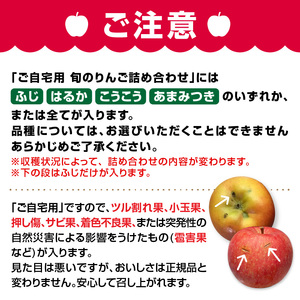 《先行予約》訳あり 旬のりんご詰合せ約10kg（サンふじ確約3種以上）【2024年12月上旬頃～発送予定】【大江町産・山形りんご・りんご専科 清野哲生】 015-053