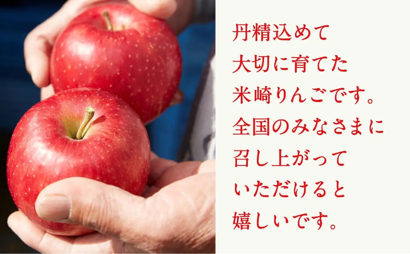 りんご 紅いわて 約5kg 果物 米崎りんご マルキヨファーム