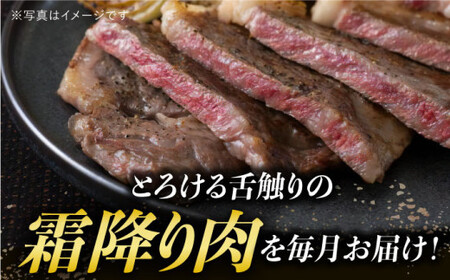 【全6回定期便】【 A5ランク 】 長崎和牛 霜降り定期便 《小値賀町》【有限会社肉の相川】[DAR037] ロース サーロイン 切り落とし 国産 牛肉 長崎和牛 ステーキ すき焼き A5 和牛 黒毛