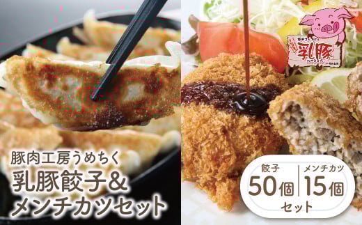 U04-10-01 国産ブランド豚使用！ 乳豚 餃子50個＆メンチカツ15個セット 国産 豚メンチカツ 豚肉 人気 おすすめ ぶたにく 餃子 ぎょうざ ギョウザ ミンチ 惣菜 おかず 冷凍 ブランド豚