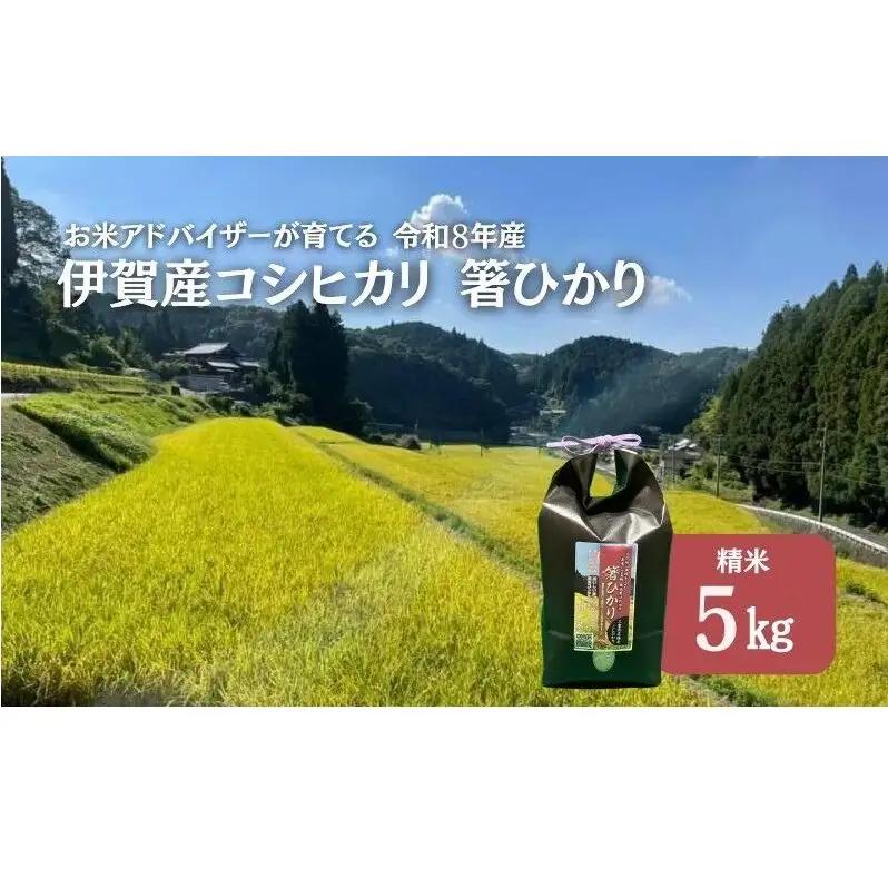 コシヒカリ 箸ひかり 伊賀産 令和8年産 5kg コシヒカリ