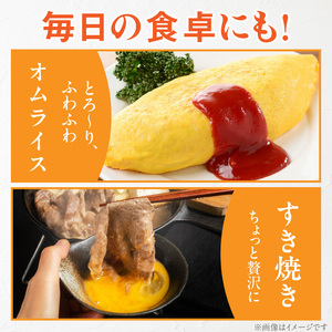 【3ヶ月定期便】【山ちゃん家の生みたて葉酸たまご】赤玉元気卵（40個入り）［132Y07-T］