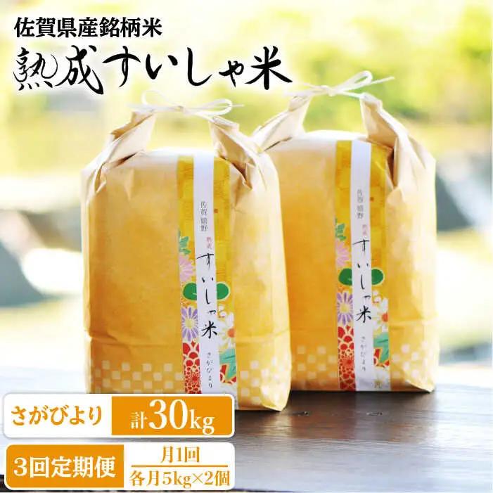 定期便 白米 さがびより10kg NAO042 全3回 白米