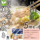 【ふるさと納税】水炊き はかた地どり美人水炊き 5種セット 2～3人前 ラー麦麺付き | 水たき セット ご当地 お取り寄せ グルメ ご当地グルメ お取り寄せグルメ 食品 加工食品 人気 おすすめ 鶏肉 鶏 鍋 お鍋 特産品 九州 博多 送料無料 福岡県 福岡市 福岡 博多 冷凍