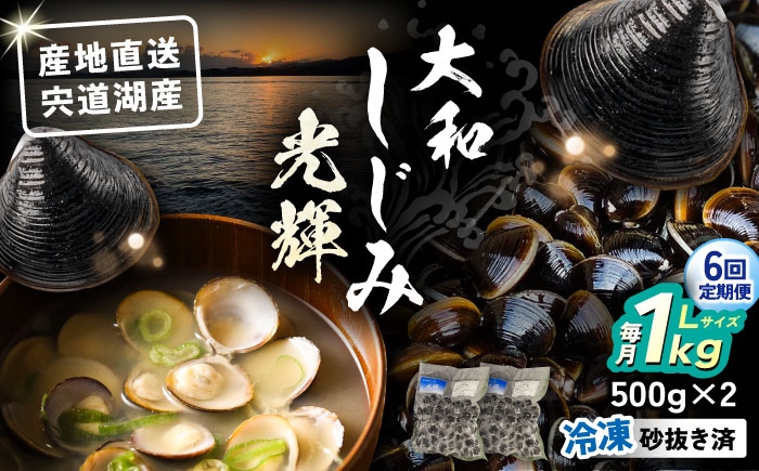 
                  【全6回定期便】産地直送！宍道湖産 冷凍大和しじみLサイズ1kg(500g×2) 砂抜き処理済 島根県松江市/りすたむmatsue [ALDE023]｜しじみ シジミ 蜆 しじみ汁 味噌汁 みそ汁 宍道湖 しんじ湖 砂抜き 砂出し 魚介類 貝 魚貝類 健康 冷凍 産地直送 ていきびん おすすめ
                