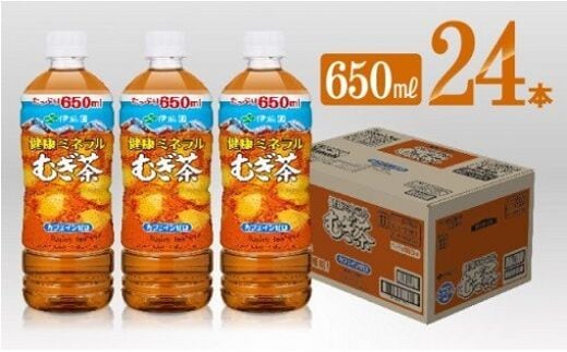 
										
										伊藤園 健康ミネラル むぎ茶 650ml×24本PET 【 飲料類 水分補給 ソフトドリンク お茶 麦茶 ペットボトル 】 宮崎県川南町 [D07357]
									