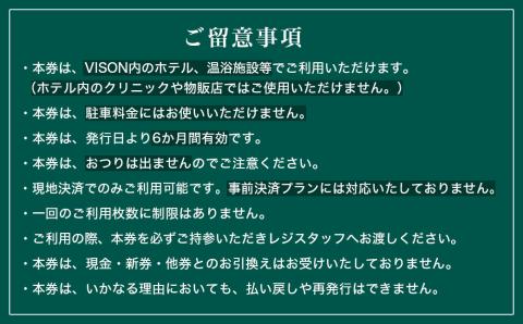 VT-01　日本最大級の商業 リゾート施設　VISON [ヴィソン] ギフト券（1,000円×3）