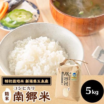 ふるさと納税 五泉市 【2ヵ月毎定期便】[隔月3回定期便]特別栽培米コシヒカリ100%「南郷米」精米 5kg全3回