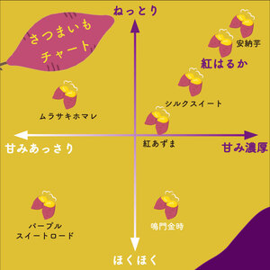 冷凍 焼き芋  選抜 紅はるか やきいも 2kg 【田條園】