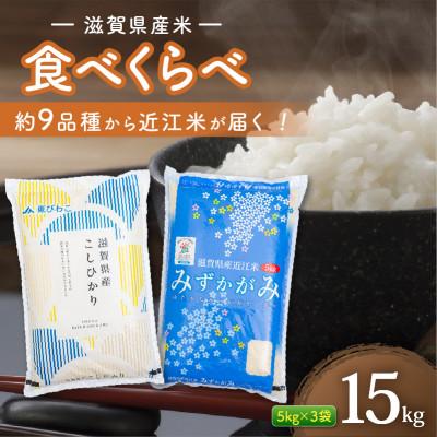 ふるさと納税 彦根市 近江米 食べ比べセット 15kg (5kg×3袋) 白米 令和7年産【簡易包装のため訳あり】