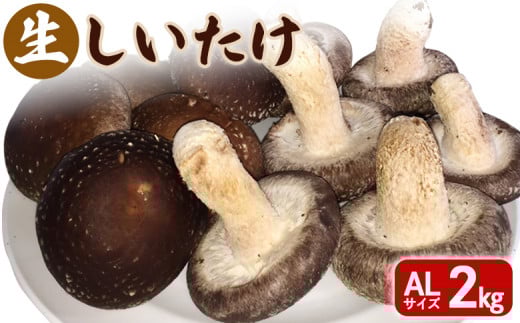 
            生しいたけ ALサイズ ２kg ｜ オンライン 申請 ふるさと納税 北海道 新十津川 北海道産 生 しいたけ シイタケ 椎茸 菌床しいたけ AL 大容量 高品質 厳選 野菜 やさい 箱 新十津川町【1200501】
          