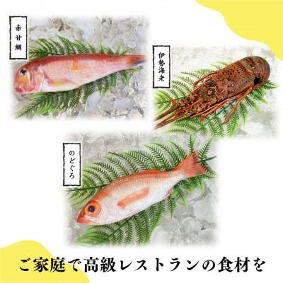 ふるさと納税 長崎市 長崎県産　のどぐろ・伊勢海老・赤甘鯛　高級　魚介類セット |  | 02