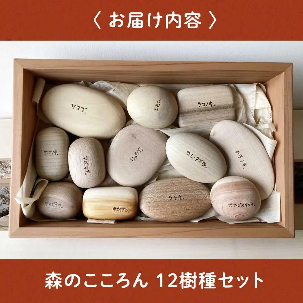 おもちゃ 12樹種セット[APAL015] おもちゃ