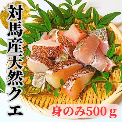 ふるさと納税 対馬市 【対馬産】天然クエ500g(身のみ)