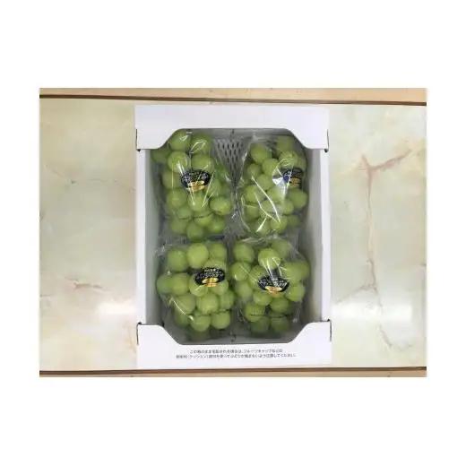 大原観光果樹園 シャインマスカット 約2kg 3～4房 【先行予約 9月中旬から順次発送】