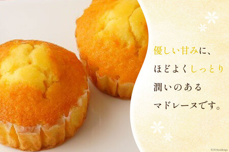 【TVで紹介！】 菓子 お山のマドレーヌ 6個入り