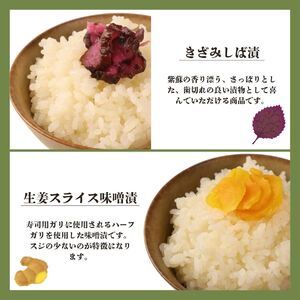 漬物 8点セット 漬物 漬物 漬物 漬物 漬物 漬物 sakuma002