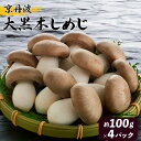 【ふるさと納税】 京丹波 大黒本しめじ 400g ( 京野菜 大黒 本しめじ 幻の きのこ 約 100g × 4パック すき焼き 鍋 天ぷら アヒージョ グリル焼き ソテー 香り 松茸 まつたけ 味 しめじ 国産 京都 京 丹波 野菜 人工 栽培 京 の ブランド 産品 )