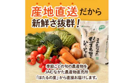 【9～11品】むなかた旬のお任せセット 野菜 フルーツ お米 _HA0263 | 詰め合わせ