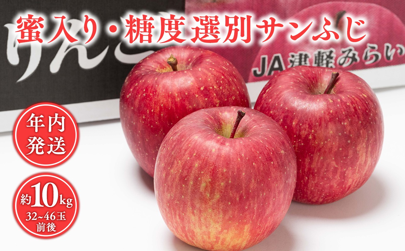 
            年内 蜜入り 糖度選別サンふじ 約10kg 【青森県 平川市 JA津軽みらい 12月】青森 青森県産 平川 りんご リンゴ 林檎 くだもの 果物 サンふじ ふじ フルーツ 
          