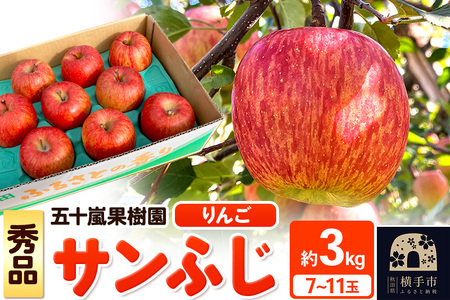サンふじ【秀品】約3kg（7～11玉）りんご 林檎