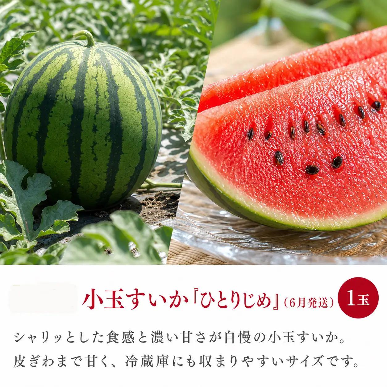 【定期便】【全3回】紀州和歌山産旬のフルーツ定期便（セミノール・スイカ・桃）【5月・6月・7月】【tkb453】