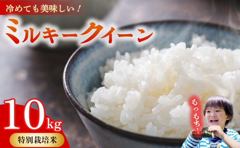 ミルキークイーン 10kg 【特別栽培米】お米 米 白米 みるきーくいーん  農家直送 産地直送 山本耕業 こめ香 静岡県 牧之原市