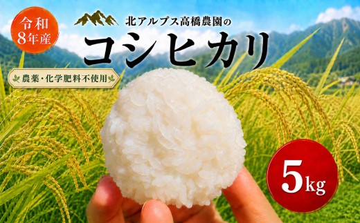 【令和8年産】コシヒカリ 5kg ｜ 北アルプス高橋農園  農薬不使用 化学肥料不使用 米 お米 こめ コシヒカリ こしひかり 白米 精米 長野県 松川村 地域おこし 北アルプス 信州 安曇野