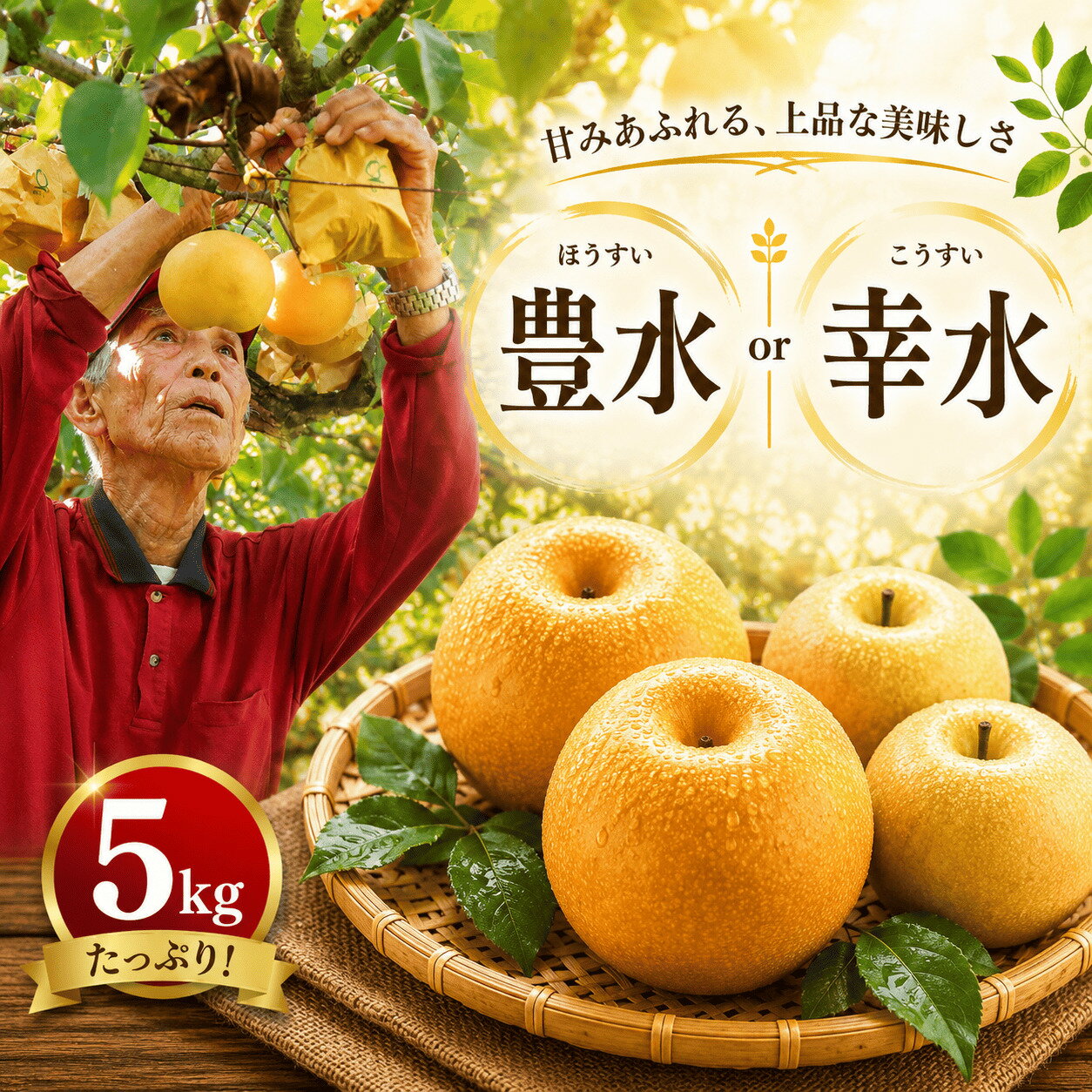 【ふるさと納税】 【2026年8月初旬～9月中旬頃に発送】 選べる 梨 豊水 幸水 5kg お中元 夏ギフト 川崎町産 先行予約 梨 | 井手上農園 産地直送 梨 5kg 梨 豊水 なし フルーツ 梨 豊水 梨 豊水 梨 季節限定 梨 数量限定 梨 福岡県 川崎町