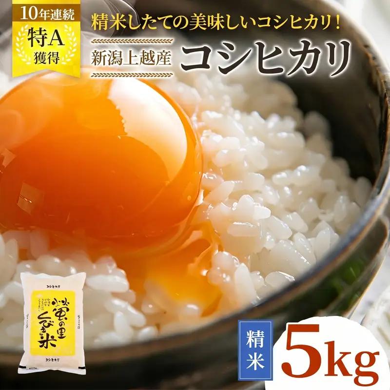 令和8年産 【12月配送】 新潟県上越市産 コシヒカリ 5kg 先行予約 新米 蛍の里